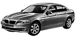 BMW F10 P0A88 Fault Code